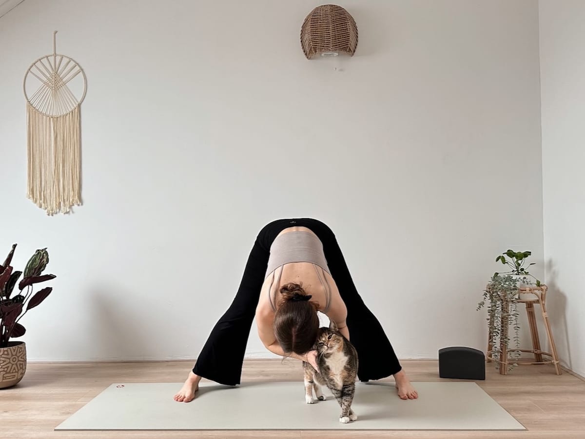20 MIN MORNING YOGA • SLOW FLOW || Awaken, Stretch & Feel Amazing