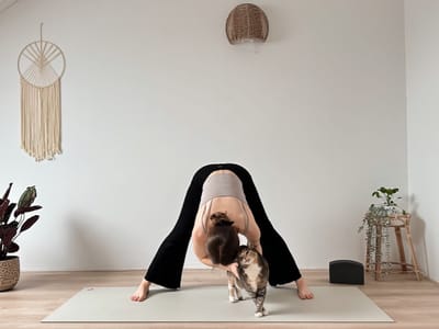 20 MIN MORNING YOGA • SLOW FLOW || Awaken, Stretch & Feel Amazing