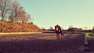 Yoga & Pilates for Horse Riders