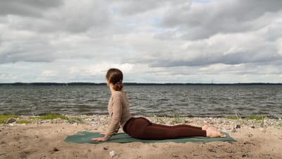 20 MIN AUTUMN FLOW 🍁 Balance, Movement & Stillness – Minimal Cues – Fall Equinox Yoga 2024