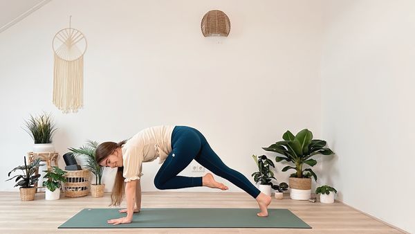 Equestrian Yoga #1 – Upper Body Strength | Yoga Pilates Fusion (39 Min)